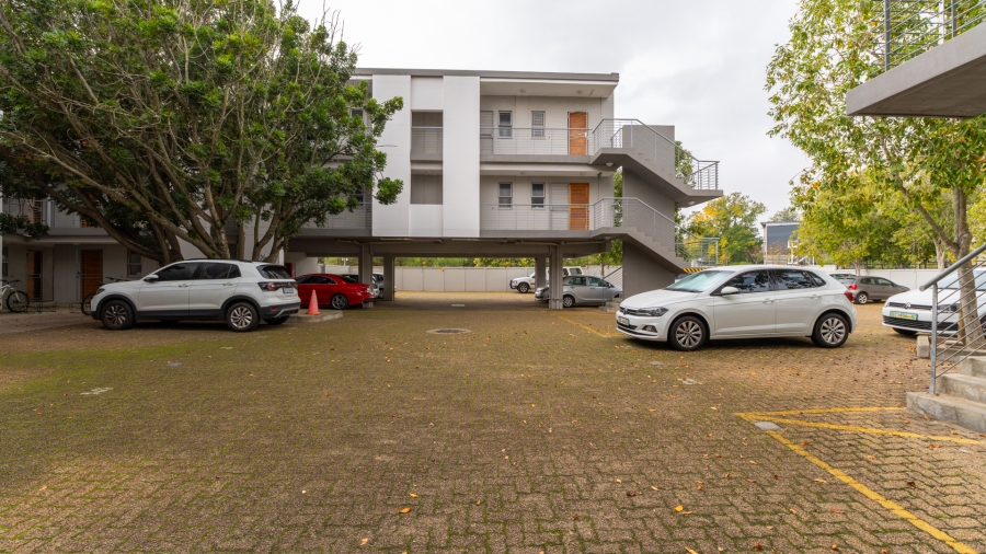 To Let 0 Bedroom Property for Rent in Stellenbosch Central Western Cape